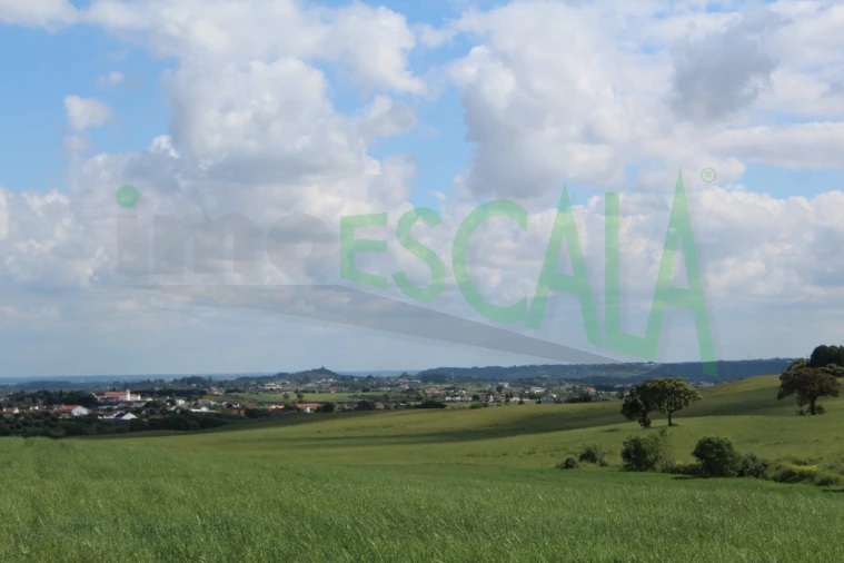 Terreno para Venda em Romeira e Várzea Foto 8