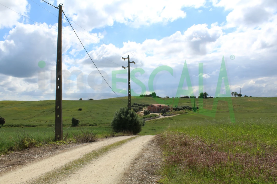 Terreno para Venda em Romeira e Várzea Foto 11