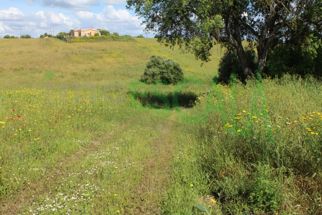 Terreno para Venda em Romeira e Várzea Foto 1