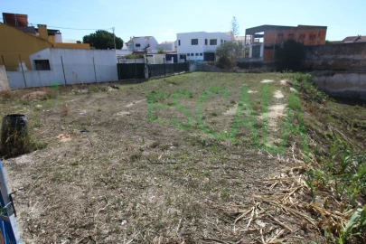 Terreno para Venda em Cartaxo e Vale da Pinta