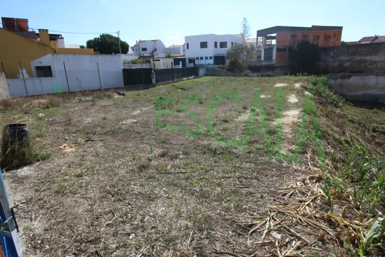 Terreno para Venda em Cartaxo e Vale da Pinta Foto 5