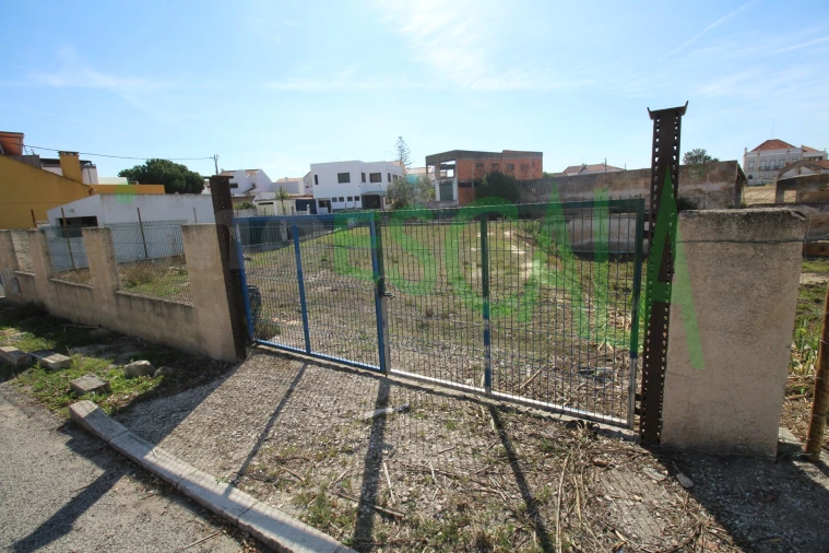 Terreno para Venda em Cartaxo e Vale da Pinta Foto 4