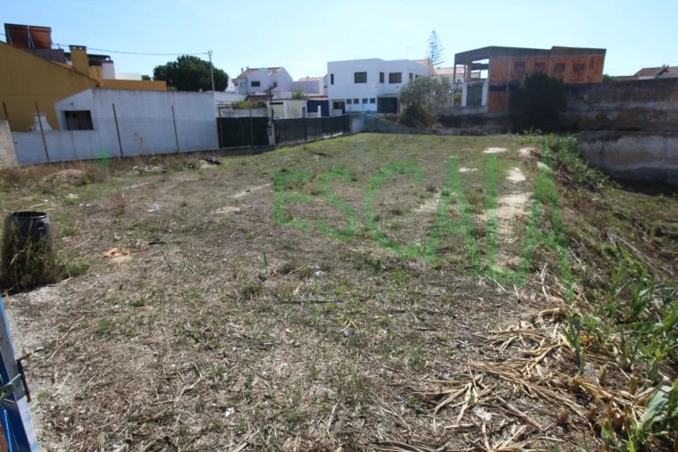 Terreno para Venda em Cartaxo e Vale da Pinta Foto 6