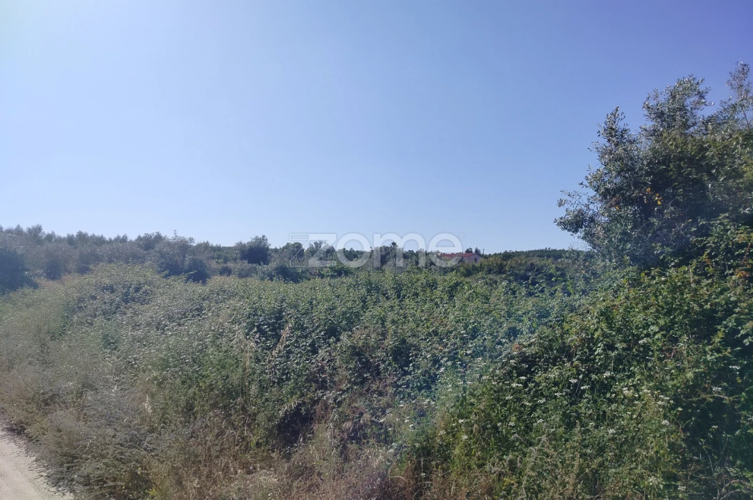 Terreno para Venda em Cunheira Foto 18