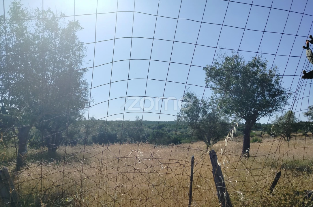 Terreno para Venda em Cunheira Foto 11