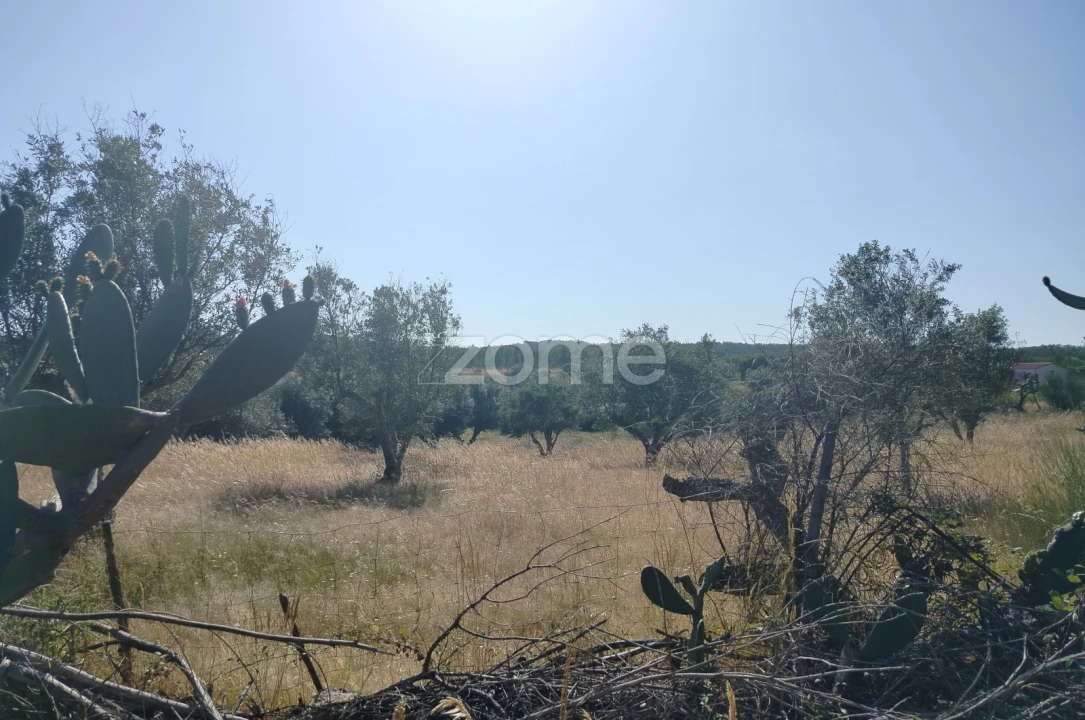 Terreno para Venda em Cunheira Foto 3