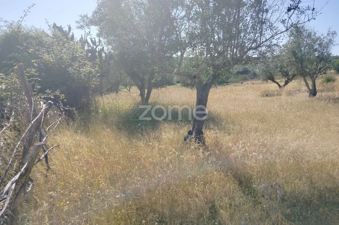 Terreno para Venda em Cunheira Foto 5