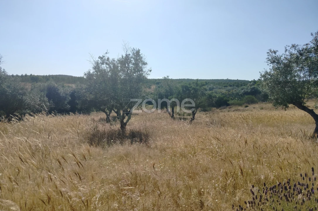 Terreno para Venda em Cunheira Foto 7