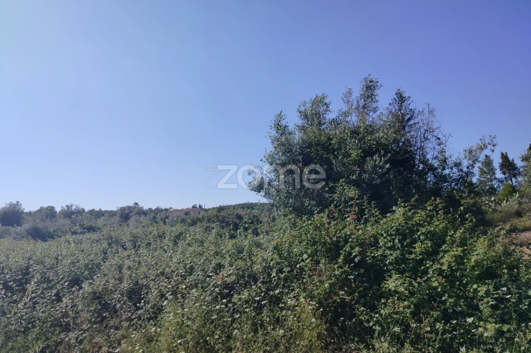 Terreno para Venda em Cunheira Foto 17