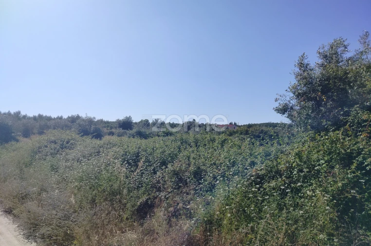 Terreno para Venda em Cunheira Foto 18