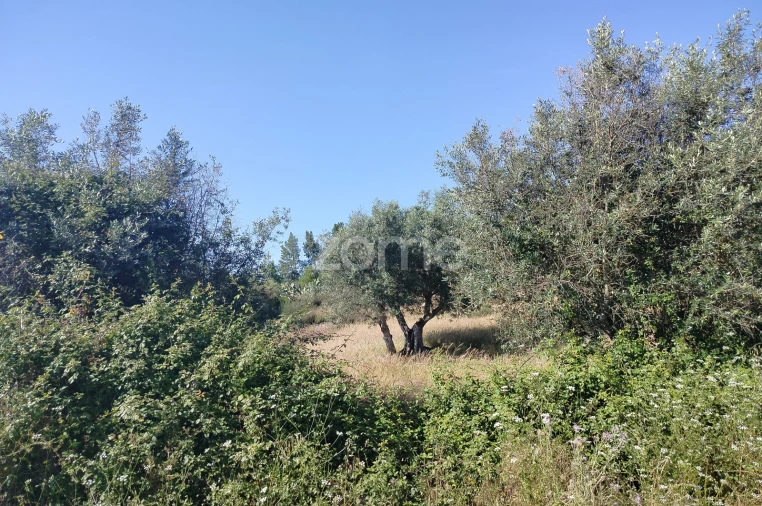 Terreno para Venda em Cunheira Foto 14