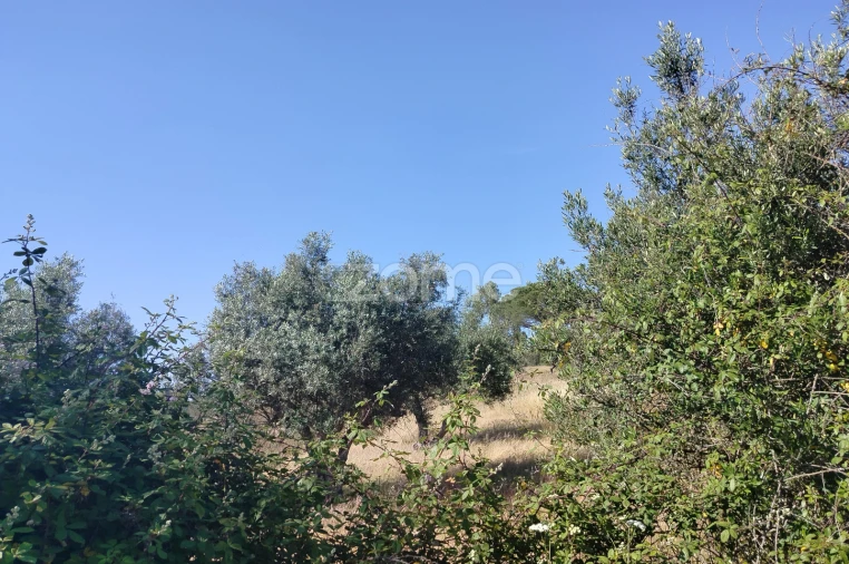 Terreno para Venda em Cunheira Foto 13