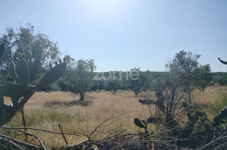 Terreno para Venda em Cunheira Foto 3