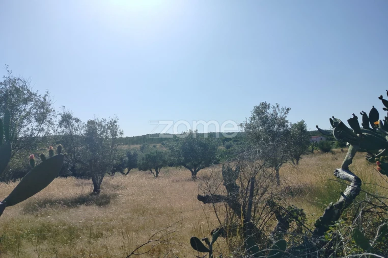 Terreno para Venda em Cunheira Foto 2