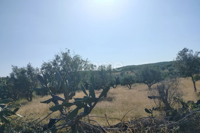 Terreno para Venda em Cunheira Foto 12