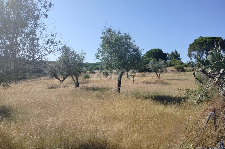 Terreno para Venda em Cunheira Foto 6