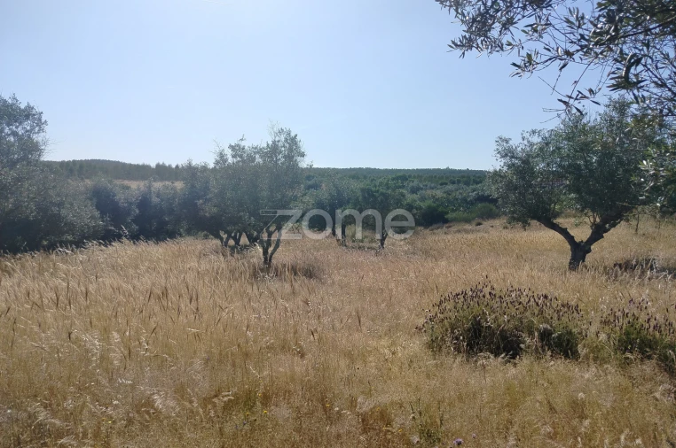 Terreno para Venda em Cunheira Foto 4