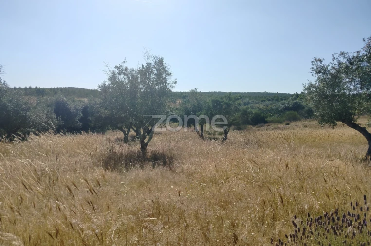 Terreno para Venda em Cunheira Foto 7