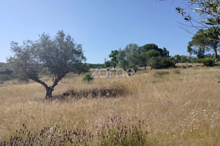 Terreno para Venda em Cunheira Foto 8