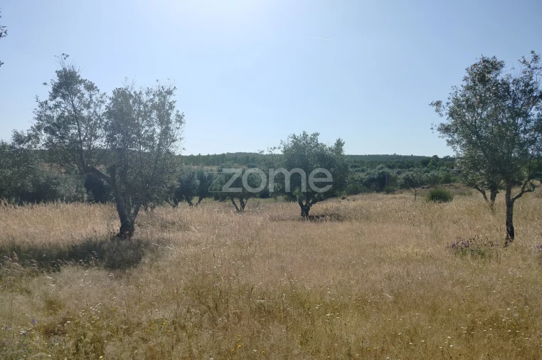 Terreno para Venda em Cunheira Foto 10