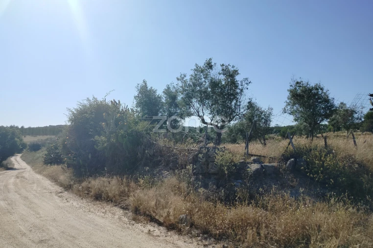 Terreno para Venda em Cunheira Foto 21