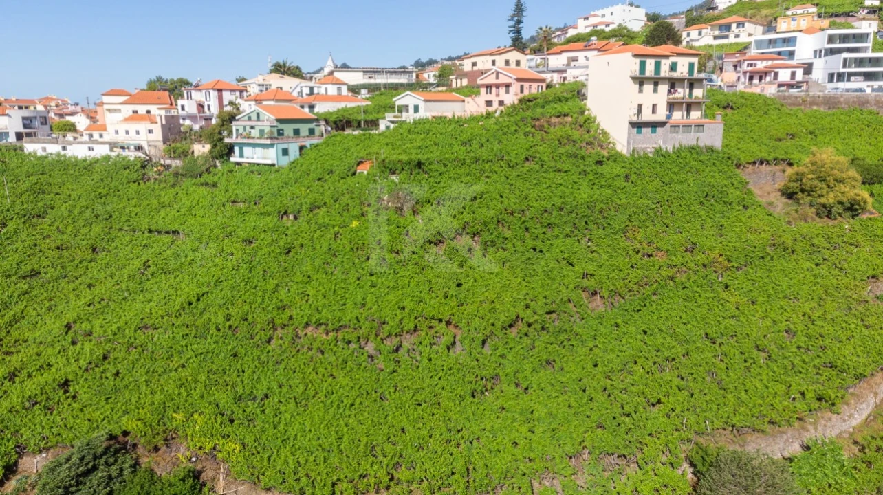 Terreno para Venda em Estreito de Camara de Lobos Foto 5
