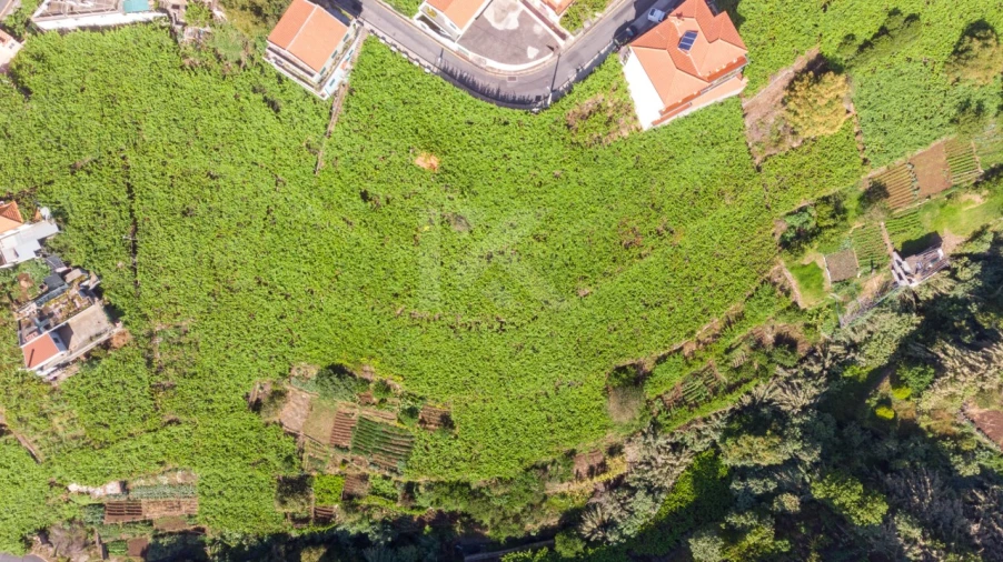Terreno para Venda em Estreito de Camara de Lobos Foto 4