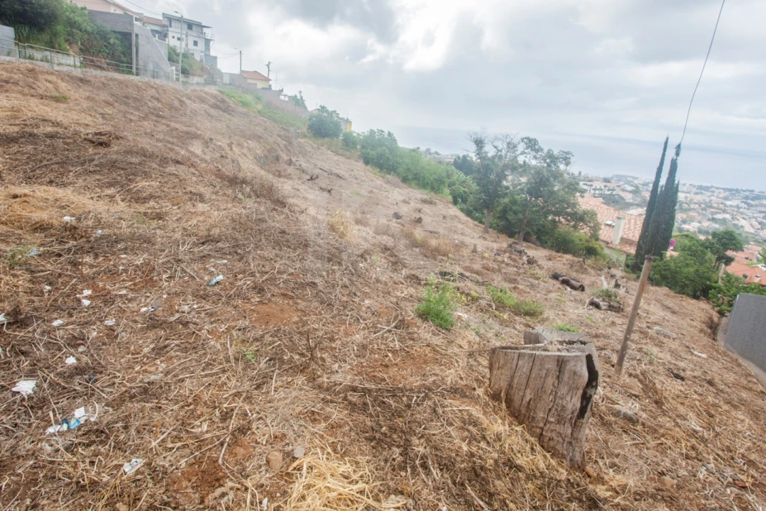 Terreno para Venda em São Roque Foto 1