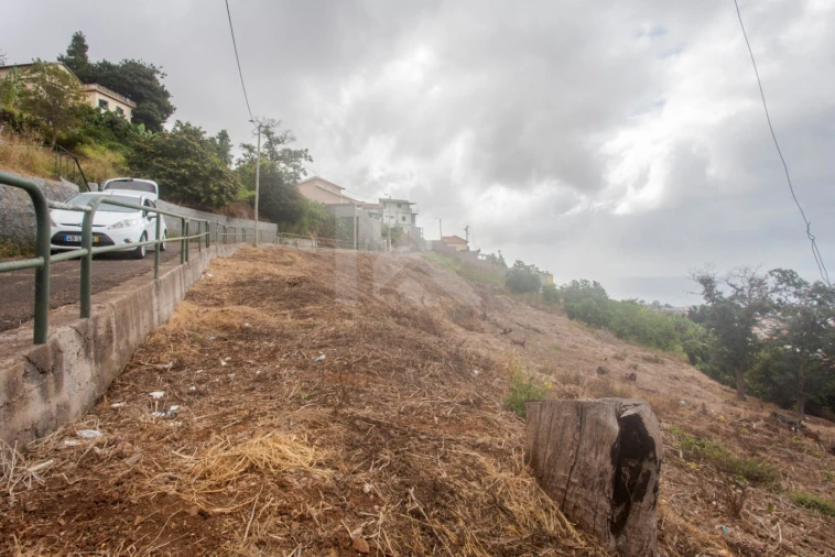 Terreno para Venda em São Roque Foto 3