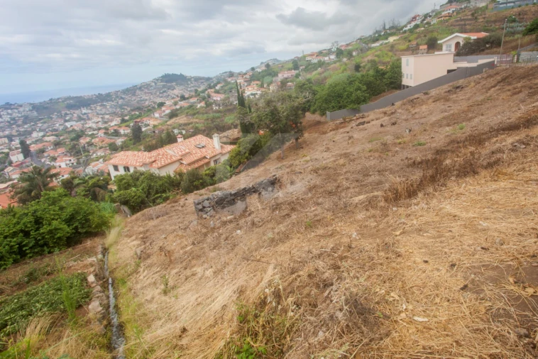 Terreno para Venda em São Roque Foto 4