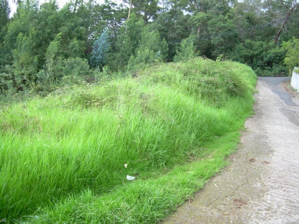 Terreno para Venda em São Gonçalo Foto 3
