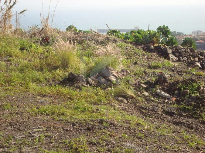 Terreno para Venda em Imaculado Coração de Maria Foto 3