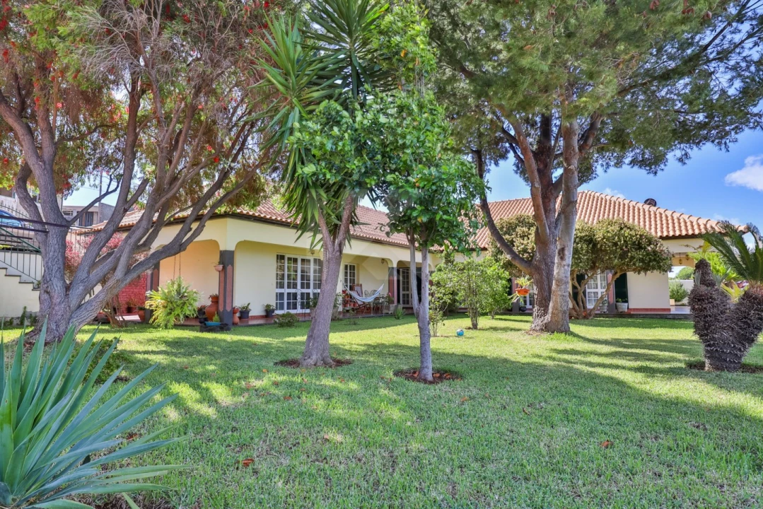 Moradia T4 para Venda em Ribeira Brava Foto 1