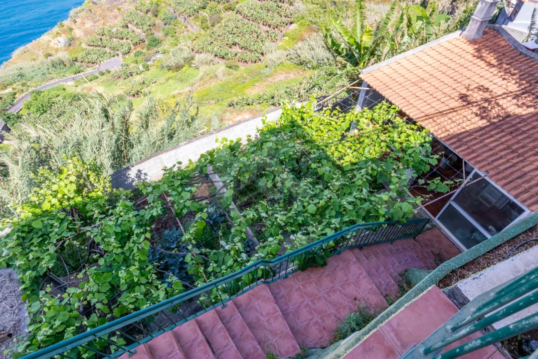 Moradia T4 para Venda em Ribeira Brava Foto 47