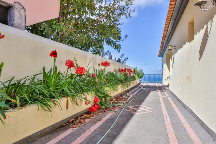Moradia T4 para Venda em Ribeira Brava Foto 49