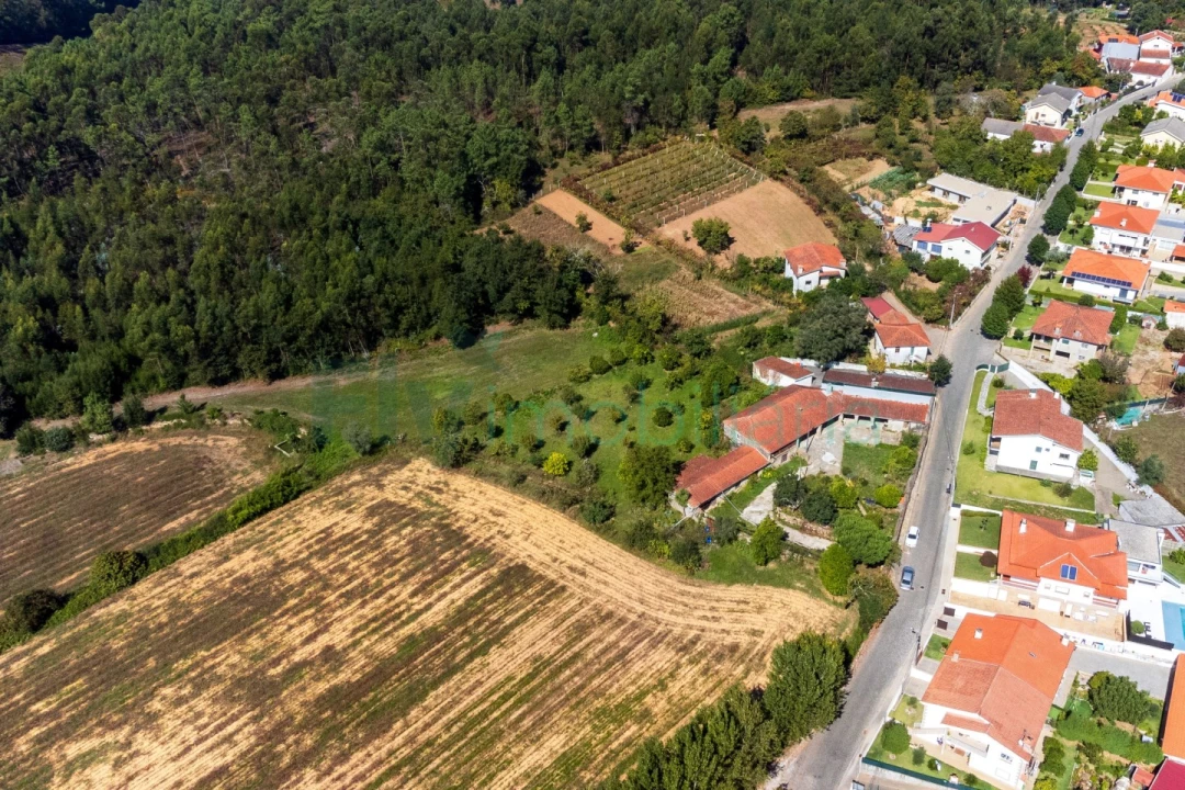Quinta T5 para Venda em Cabreiros e Passos (São Julião) Foto 15