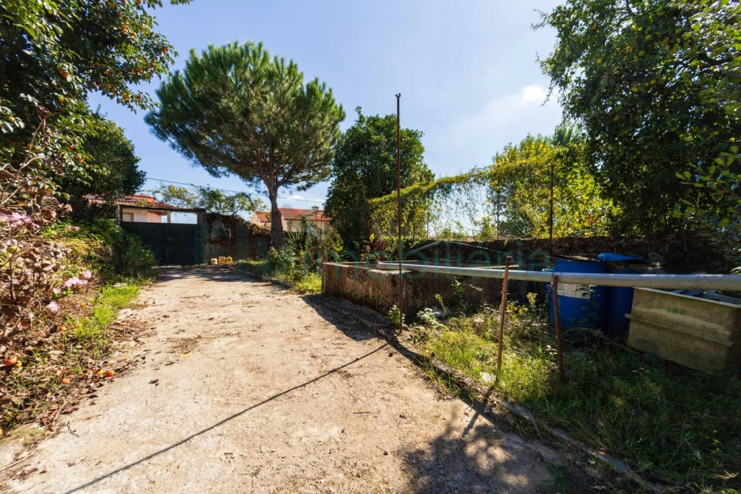 Quinta T5 para Venda em Cabreiros e Passos (São Julião) Foto 52