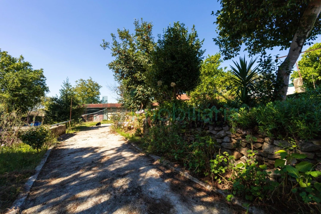 Quinta T5 para Venda em Cabreiros e Passos (São Julião) Foto 53