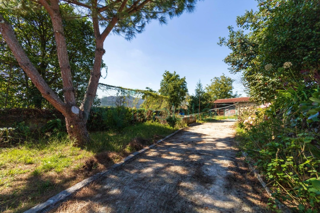 Quinta T5 para Venda em Cabreiros e Passos (São Julião) Foto 54