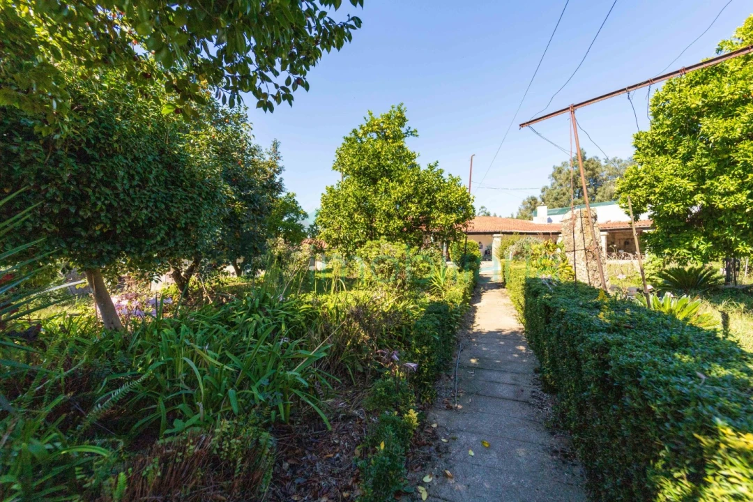 Quinta T5 para Venda em Cabreiros e Passos (São Julião) Foto 55