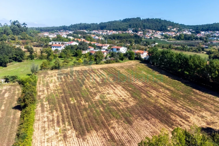 Quinta T5 para Venda em Cabreiros e Passos (São Julião) Foto 6