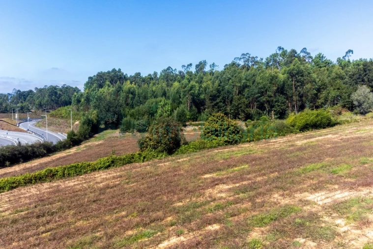 Quinta T5 para Venda em Cabreiros e Passos (São Julião) Foto 14