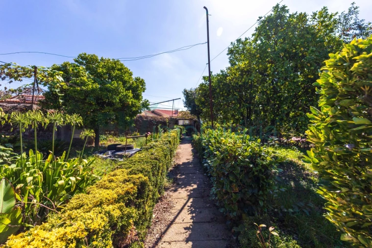 Quinta T5 para Venda em Cabreiros e Passos (São Julião) Foto 16