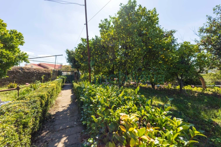 Quinta T5 para Venda em Cabreiros e Passos (São Julião) Foto 57