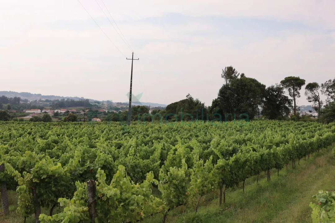 Terreno para Venda em Refontoura Foto 3