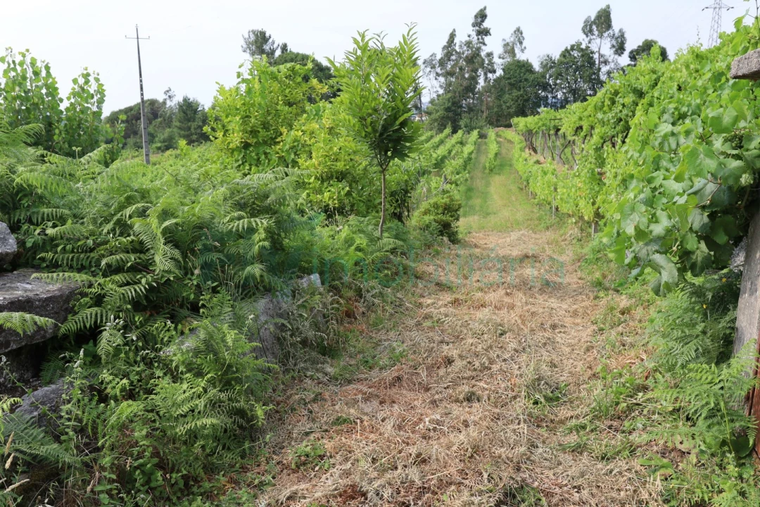 Terreno para Venda em Refontoura Foto 6
