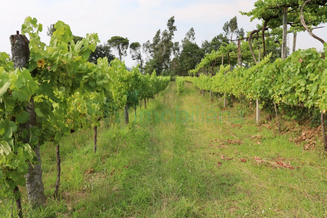 Terreno para Venda em Refontoura Foto 8
