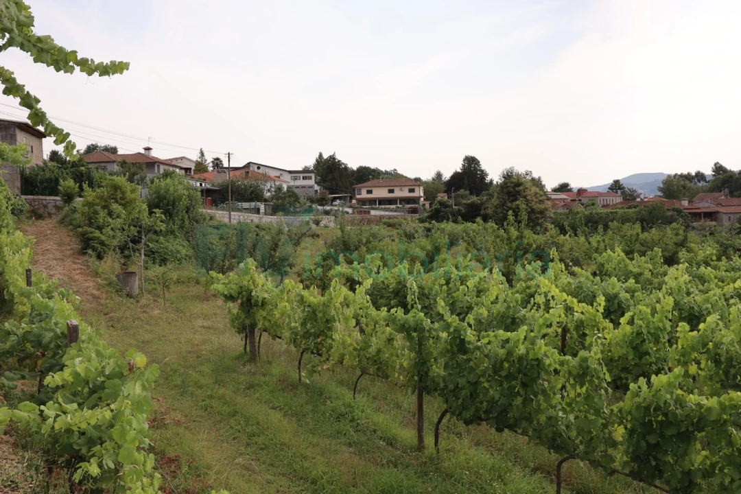 Terreno para Venda em Refontoura Foto 16