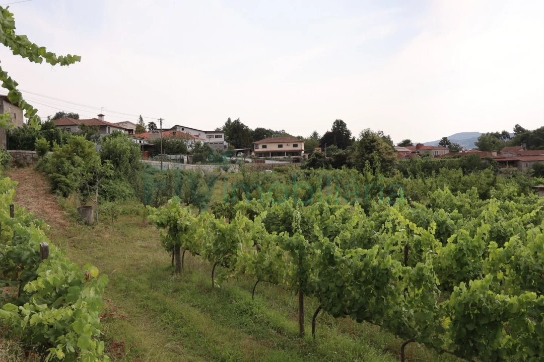 Terreno para Venda em Refontoura Foto 17