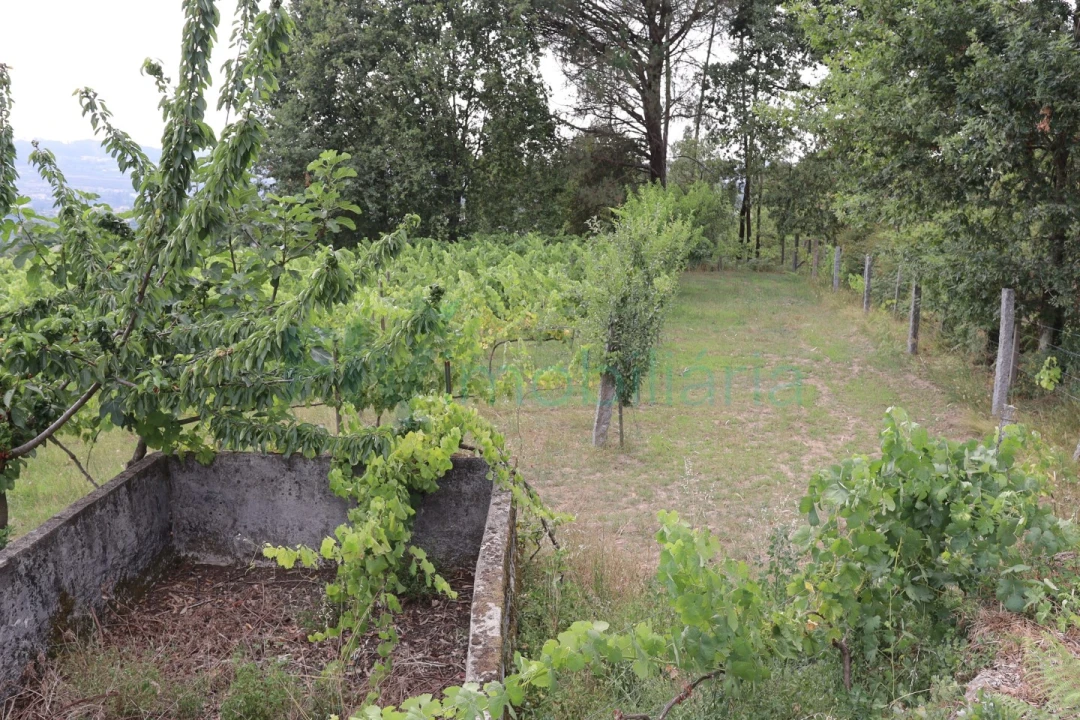 Terreno para Venda em Refontoura Foto 18